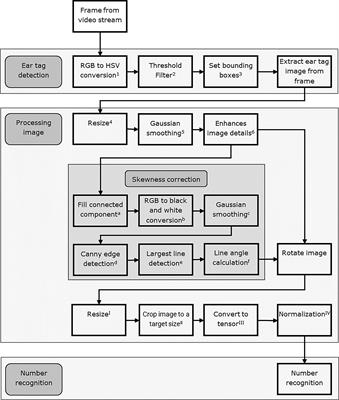 Continuous real-time cow identification by reading ear tags from live-stream video